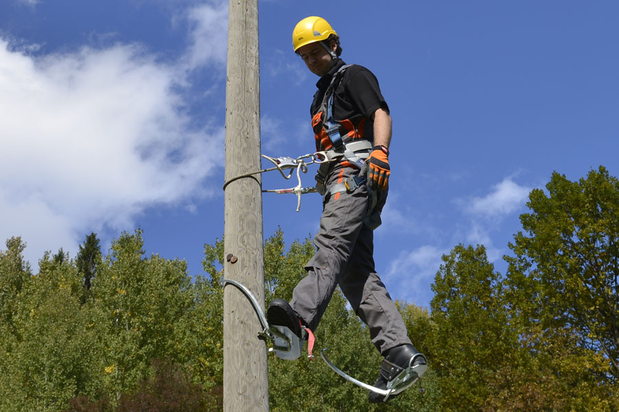 Wooden Pole Climbers PLEMONT Wooden Pole Climbers PLEMONT