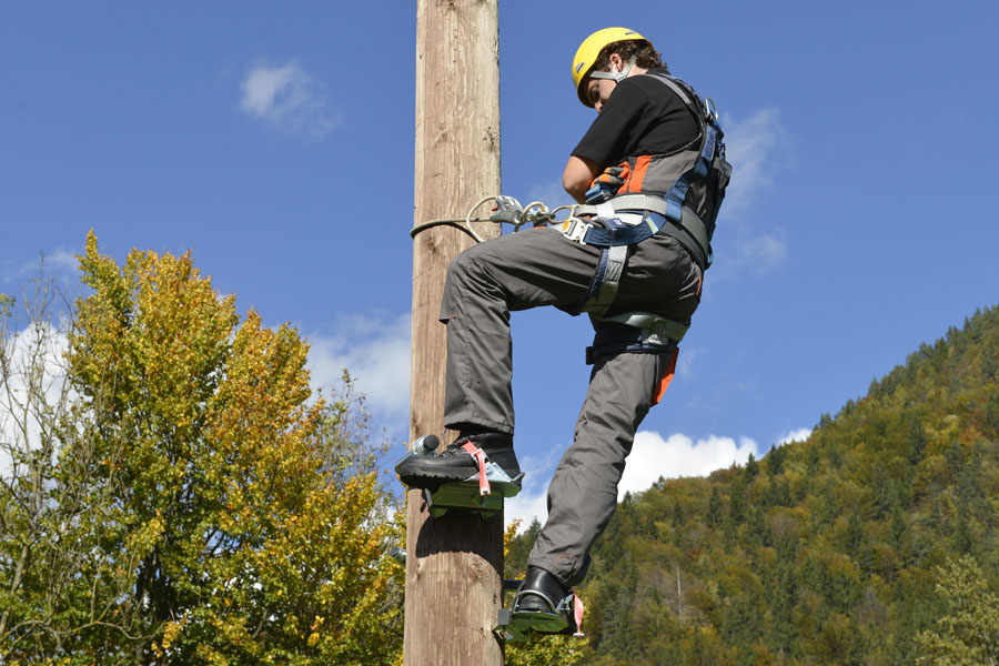 Wooden poles climbing standard 02 Wooden poles climbing standard 02